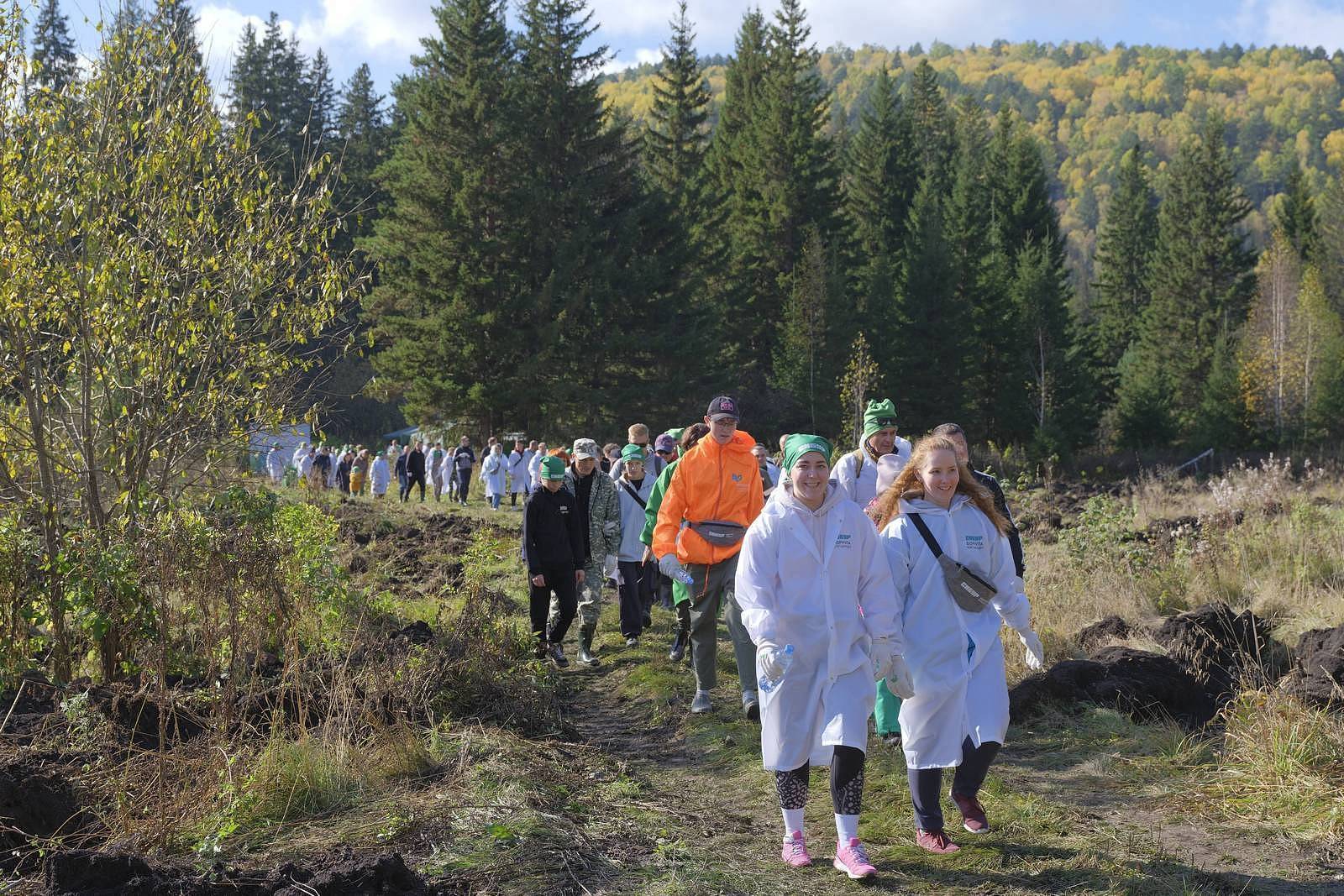 Krasnoyarsk residents planted 5000 seedlings of fir trees as part of SIBUR's forest-climatic program "Green Formula"