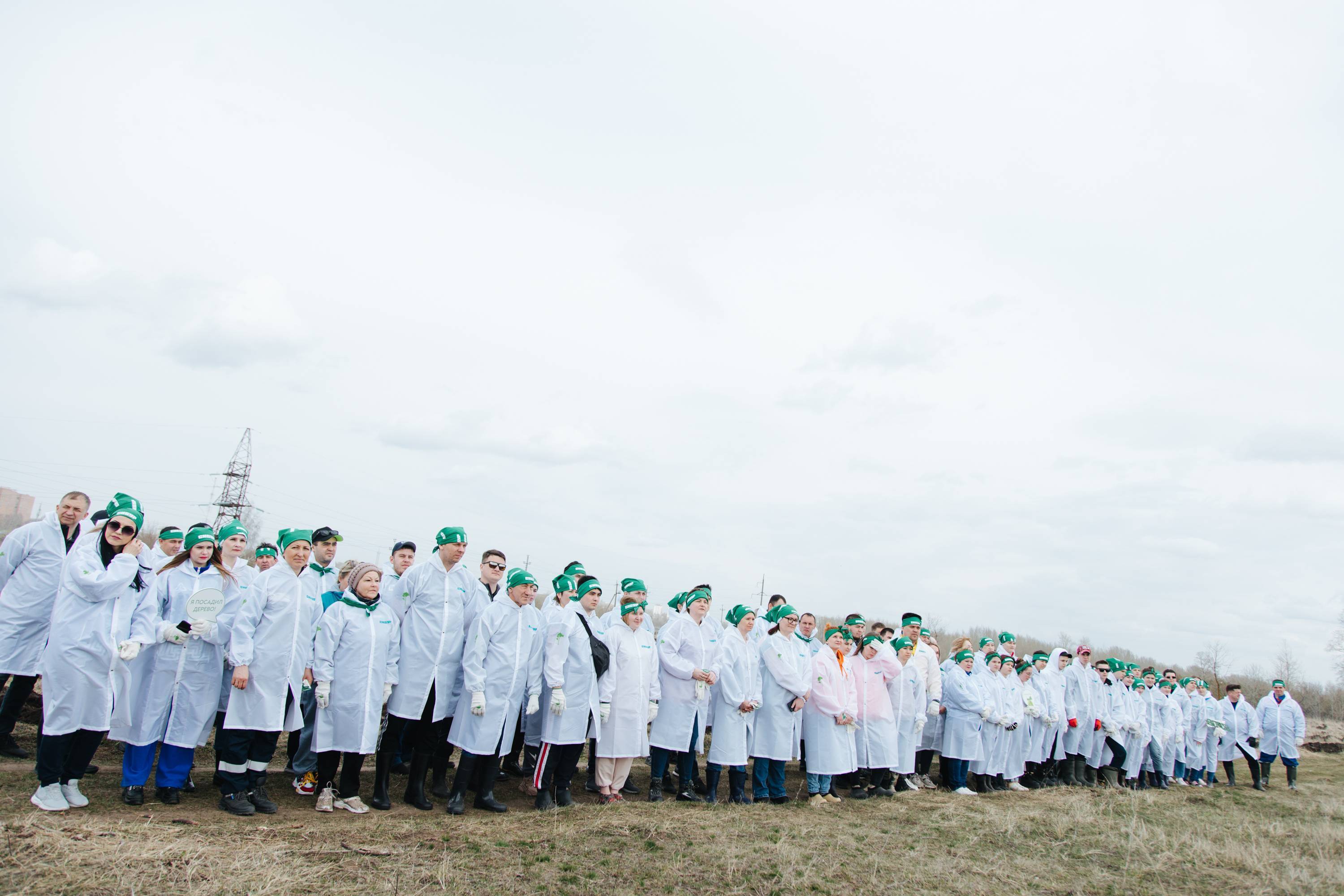 В Нижнекамске стартовала лесоклиматическая программа СИБУРа «Зеленая формула»