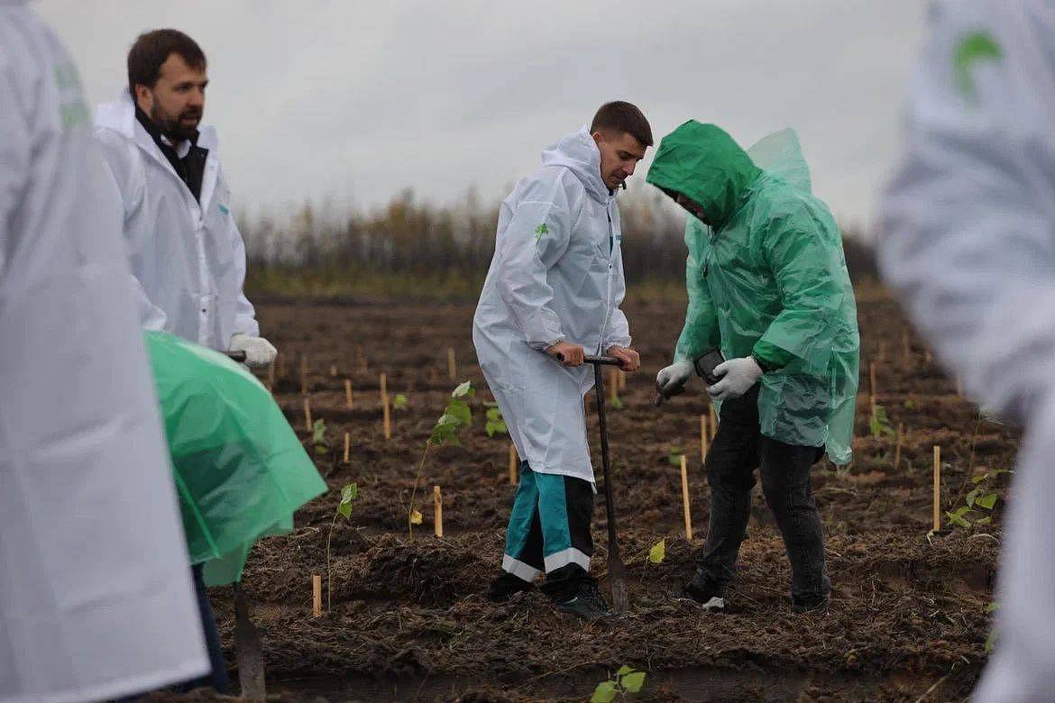 A campaign to plant new trees at Voronezh's Carbon test site is nearing completion as part of SIBUR's climate action project