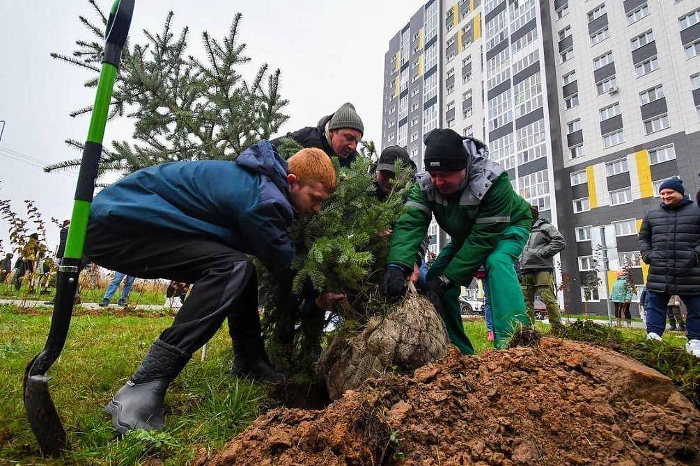 Казань присоединилась к лесоклиматической программе СИБУРа «Зеленая формула»