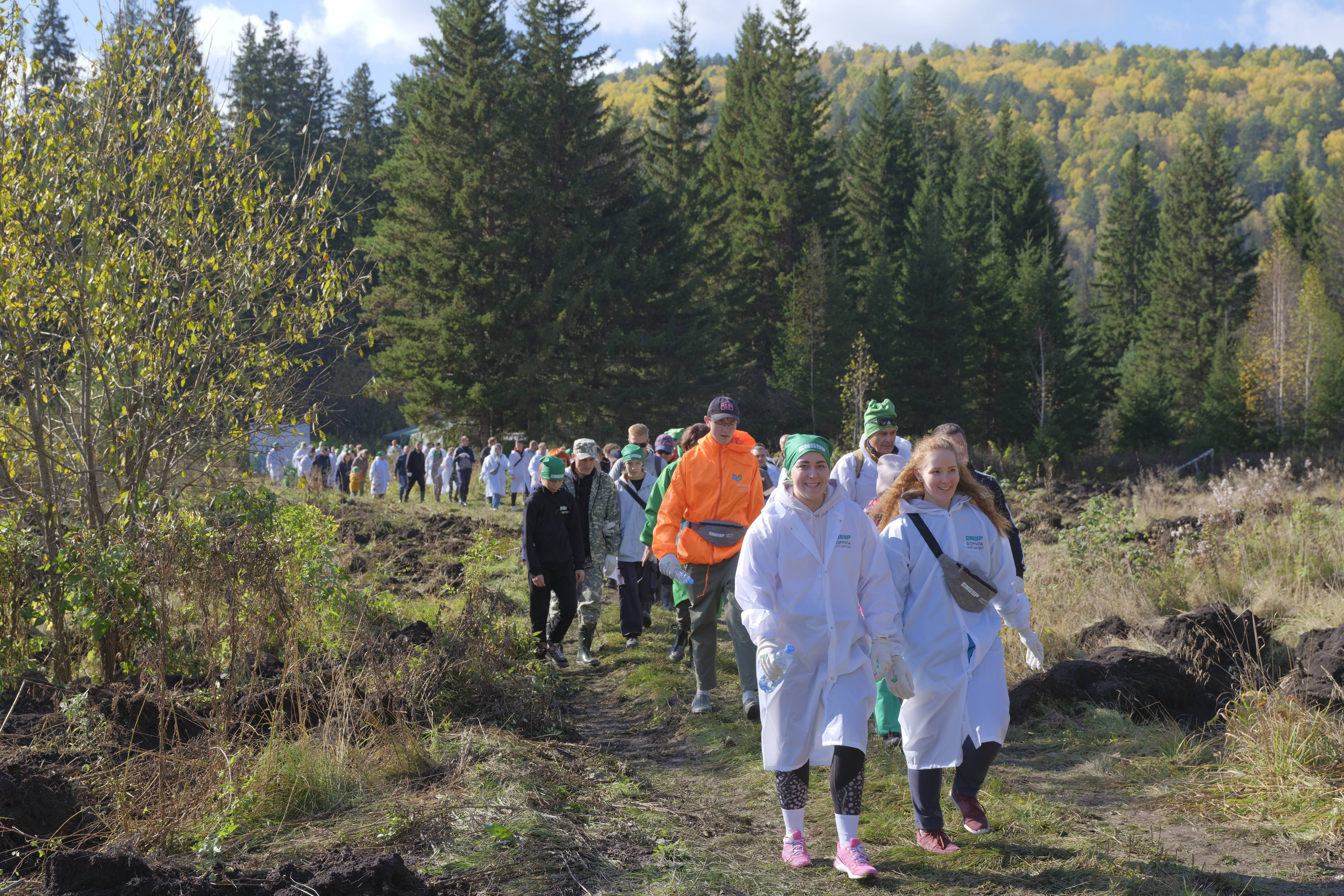 Красноярцы высадили 5000 сеянцев елей в рамках лесоклиматической программы СИБУРа «Зеленая формула» 